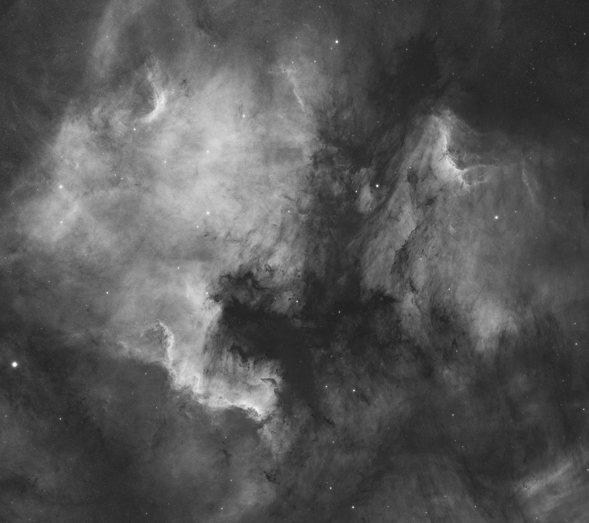 American and Pelican Nebula