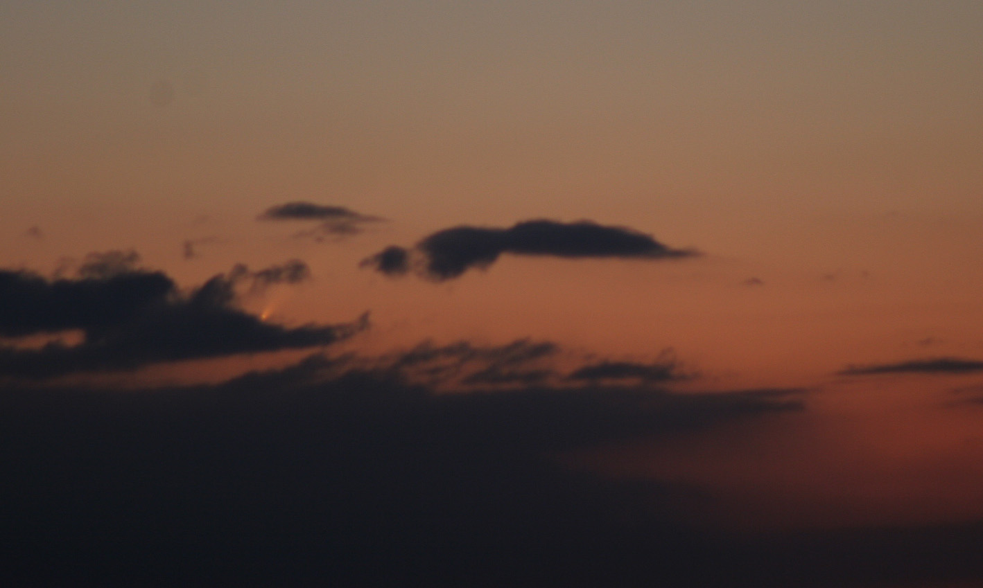 Alligator & Comet McNaught