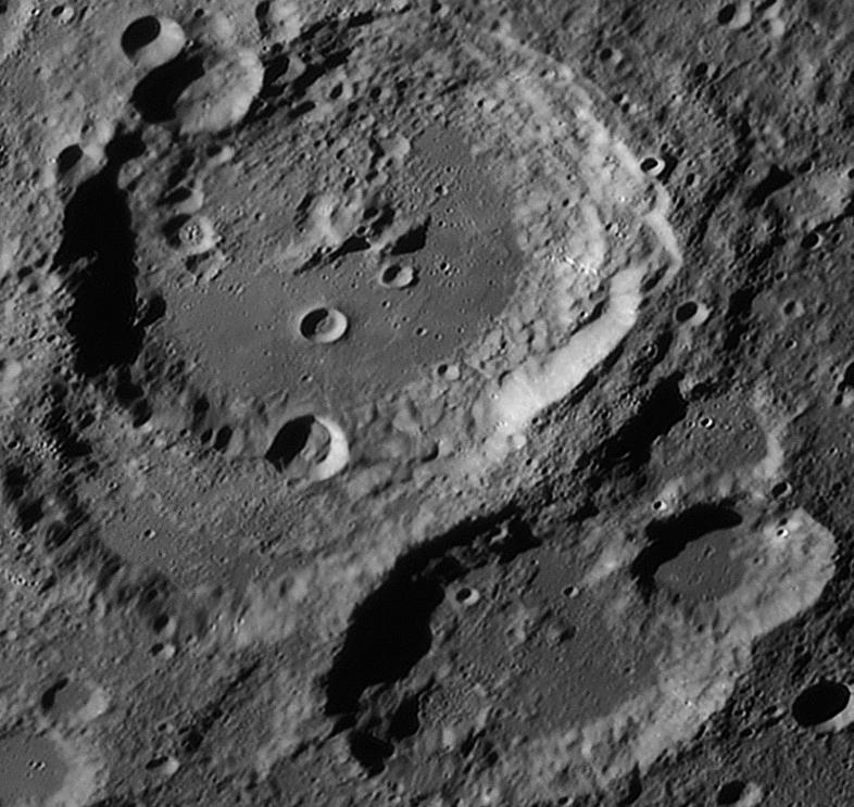 Maurolycus