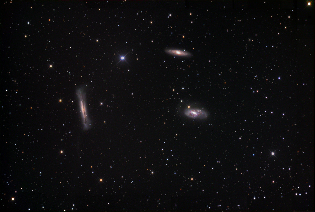 Trio Leo