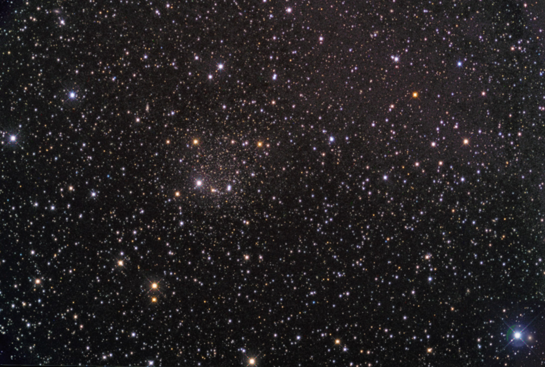 Draco Dwarf