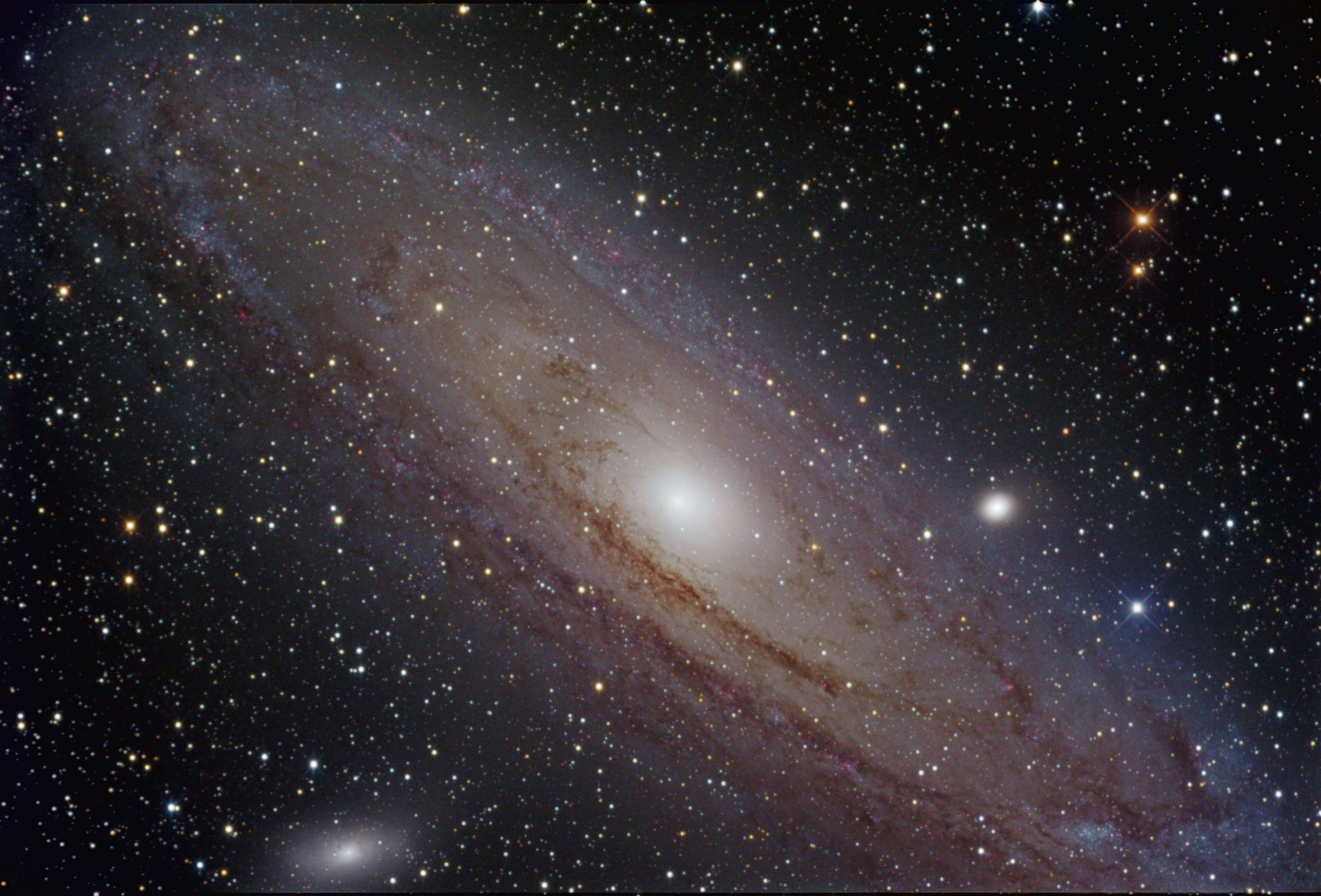 M31