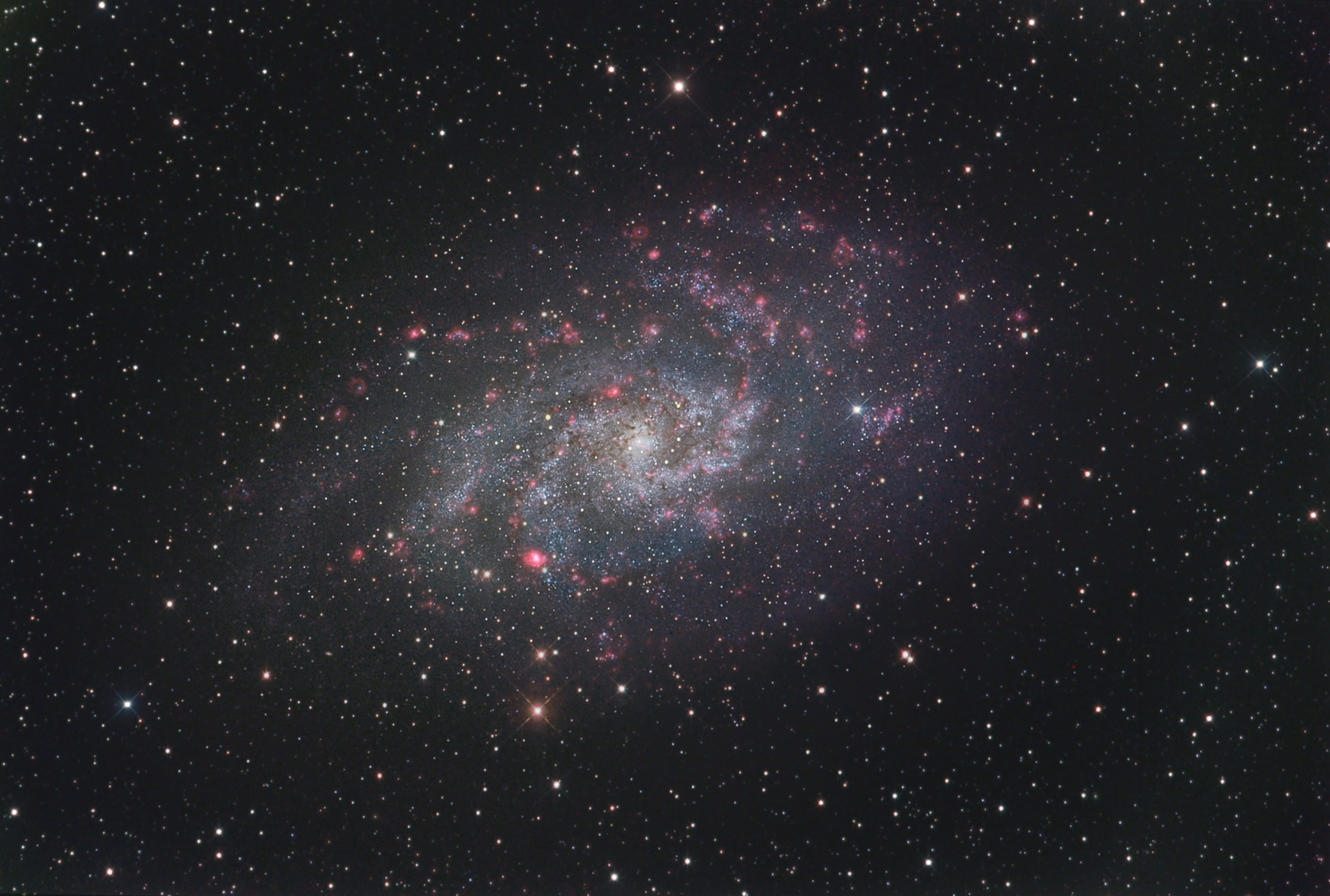M33