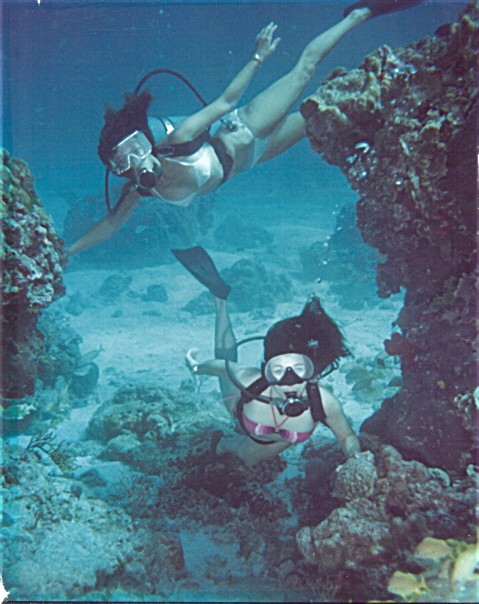 Reef creatures