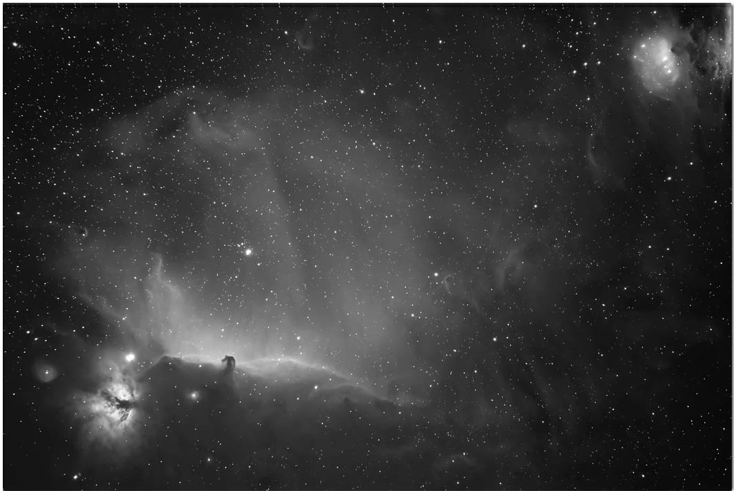 Ha Horsehead  M43