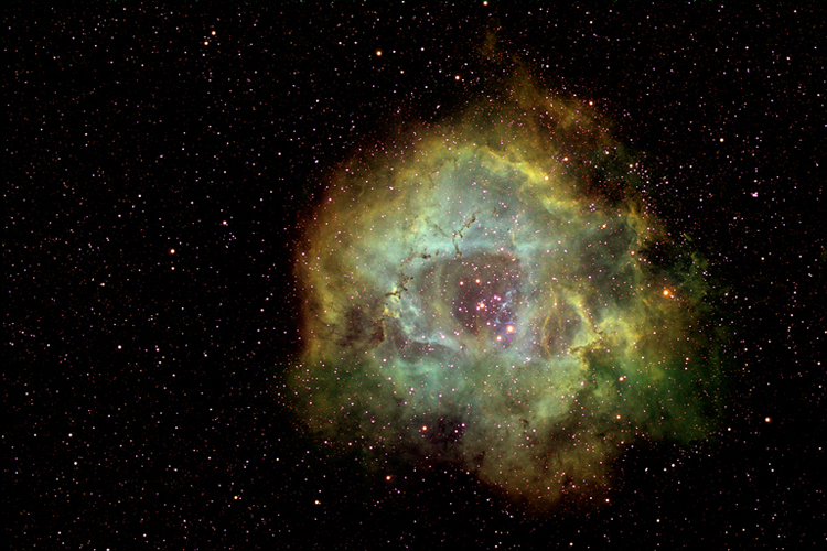 Rosetta Nebula