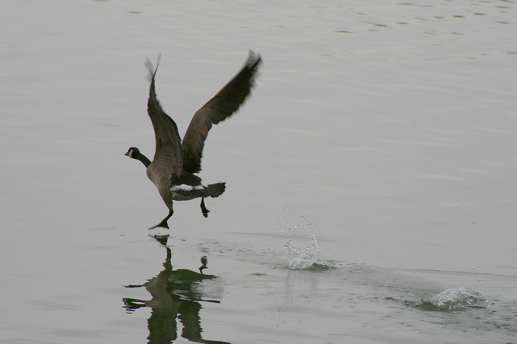 Cleared for take off