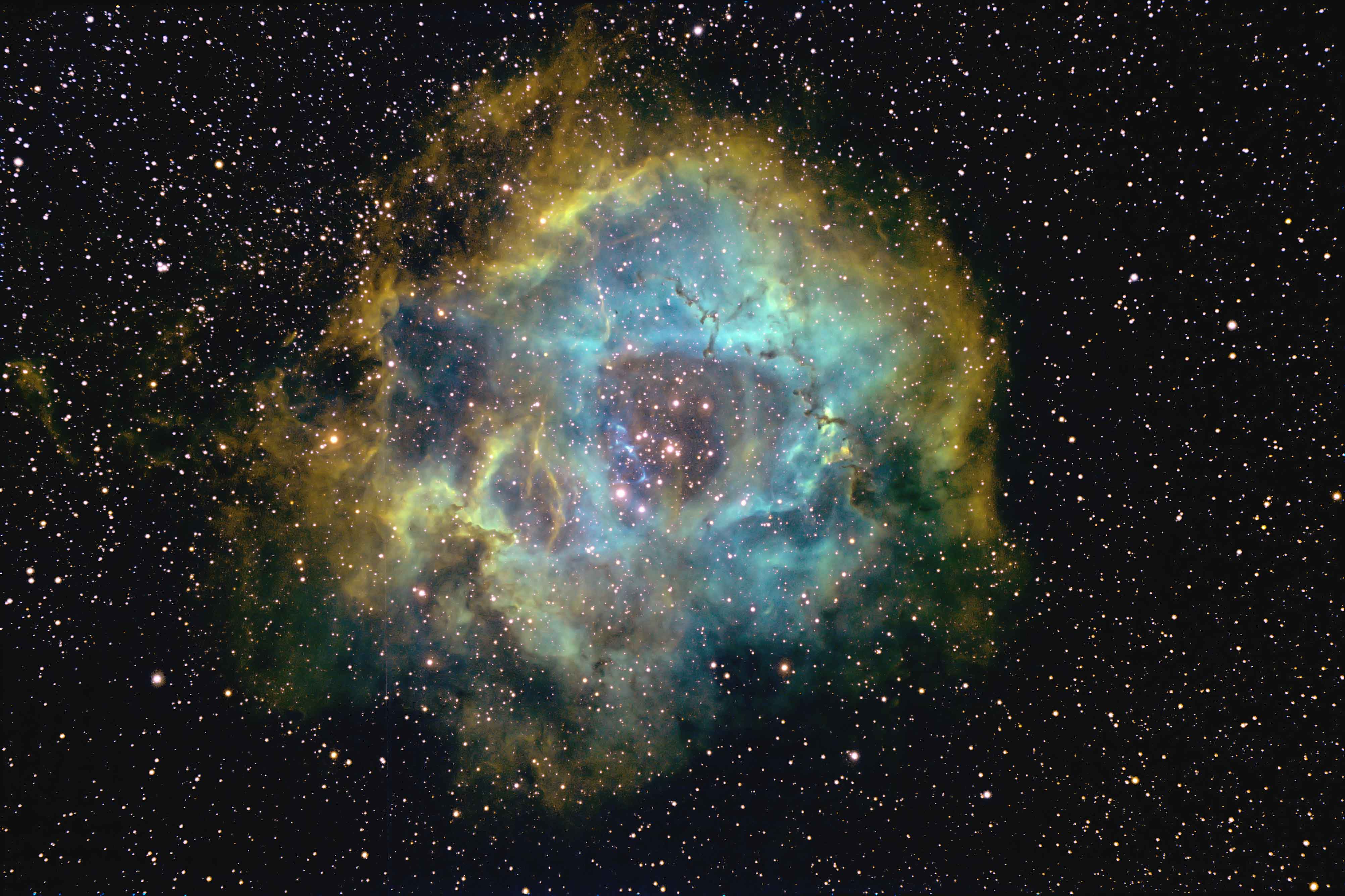 Rosette Nebula in NB
