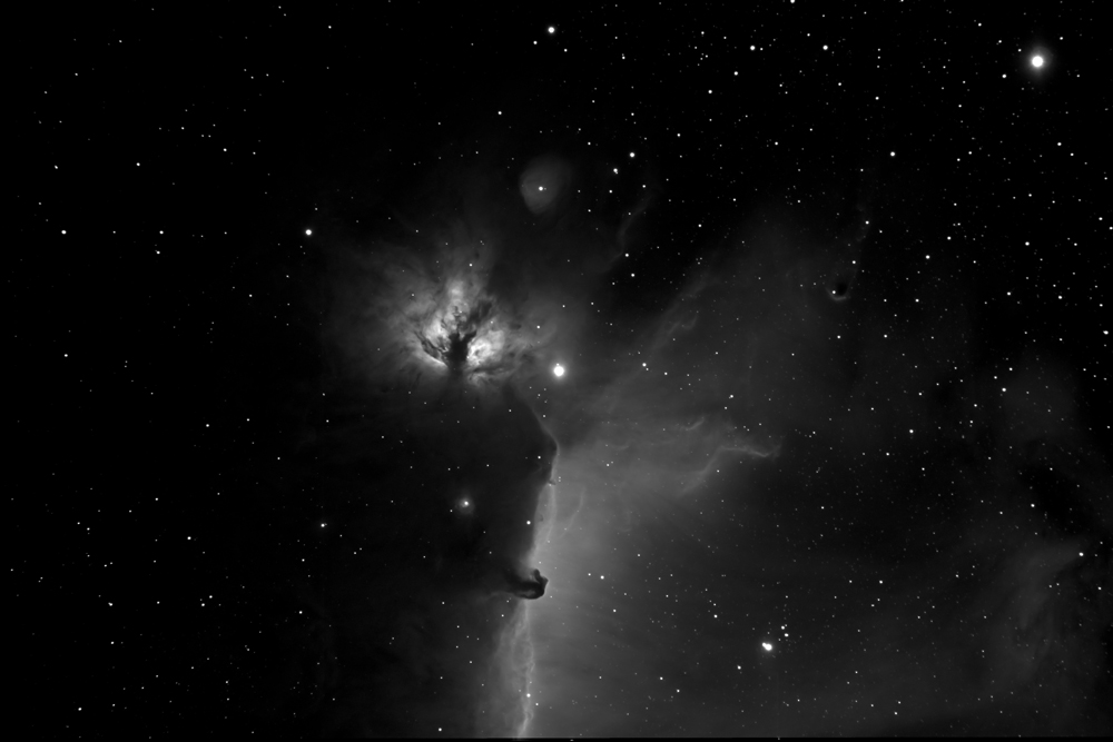Flaming Horsehead Ha