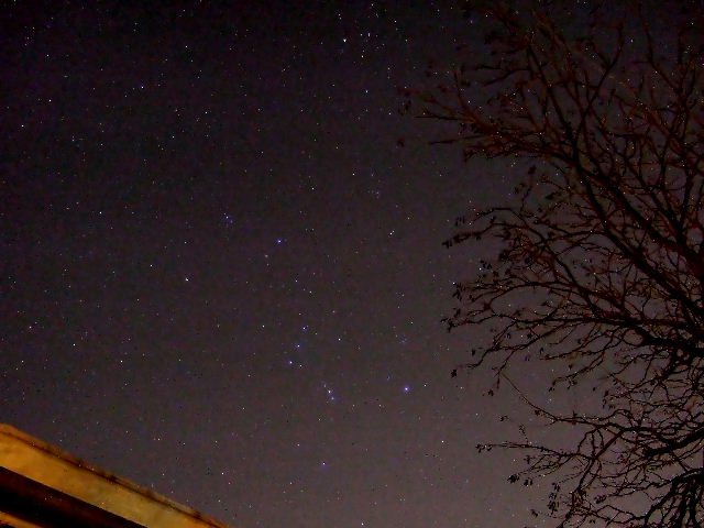 Orion
