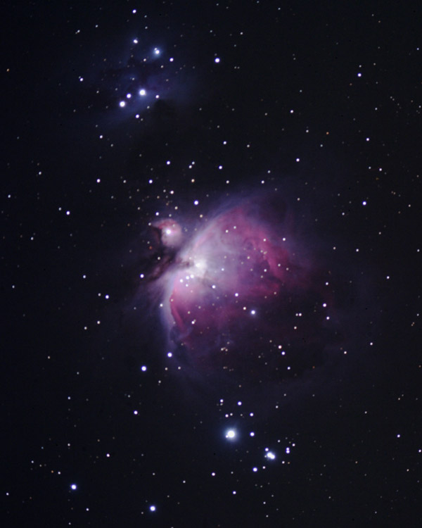 M42-M43