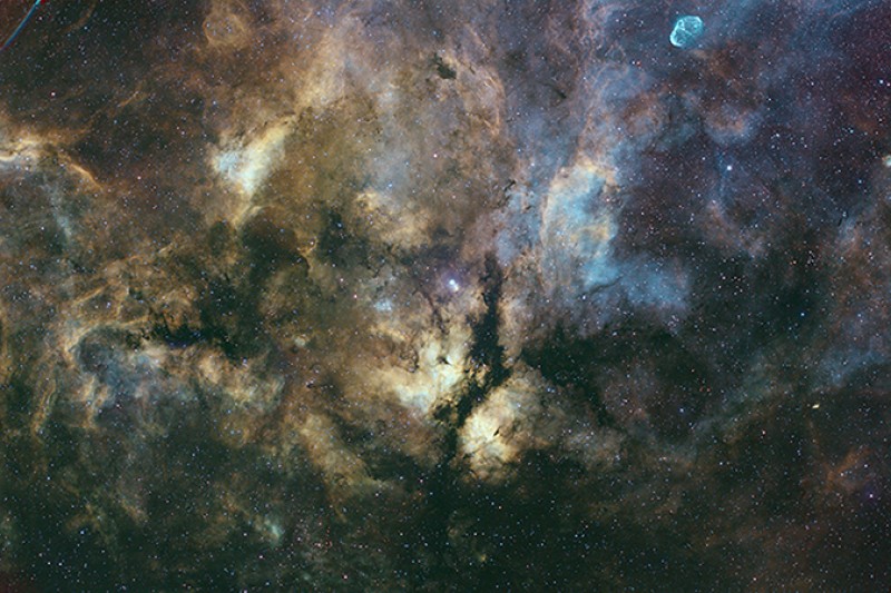 Gamma Cygni IC1318 area