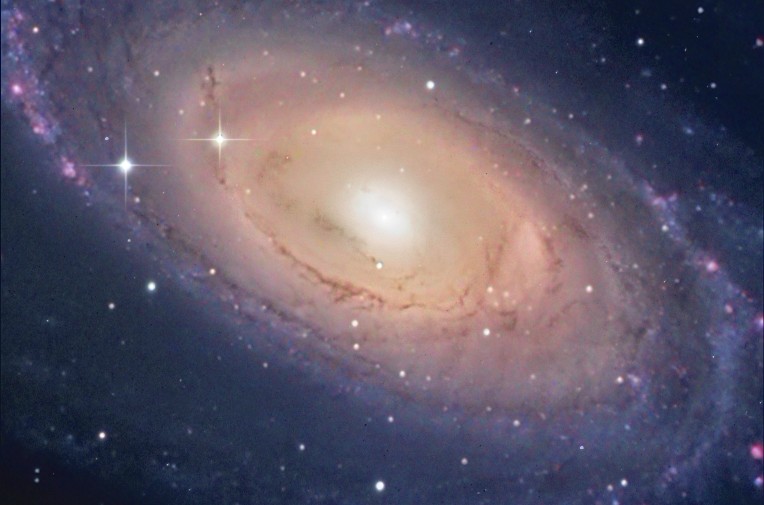 M 81