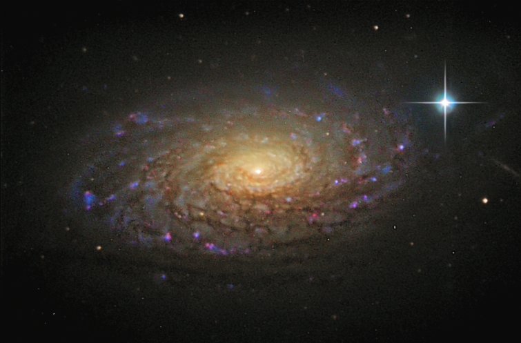 M 63