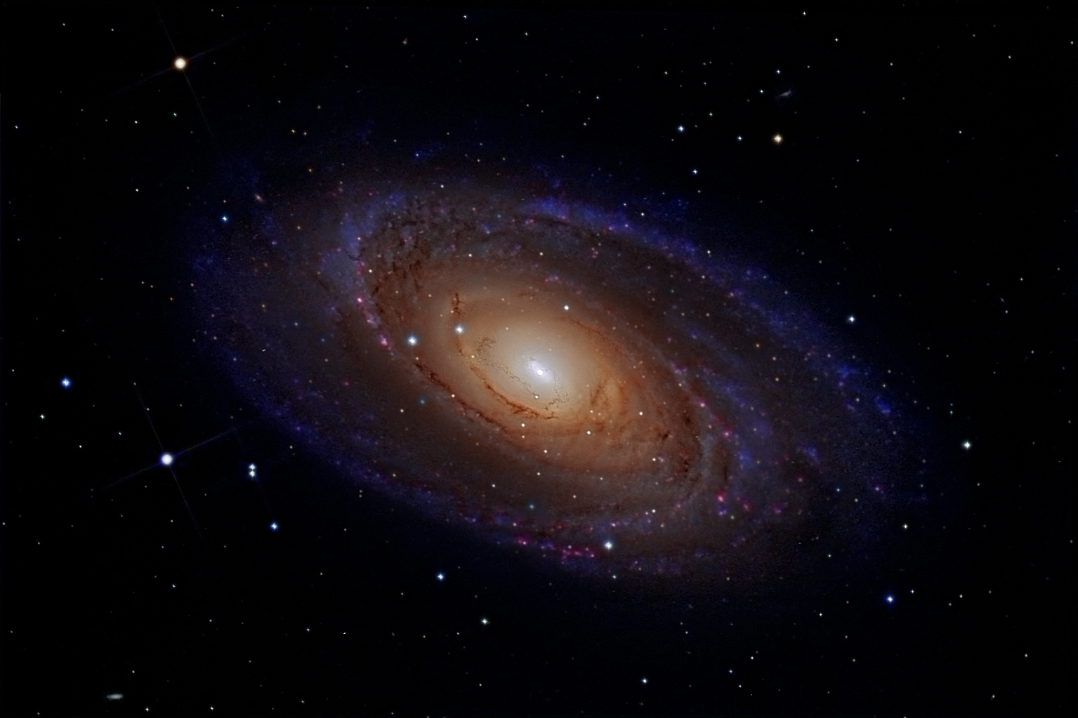 M 81