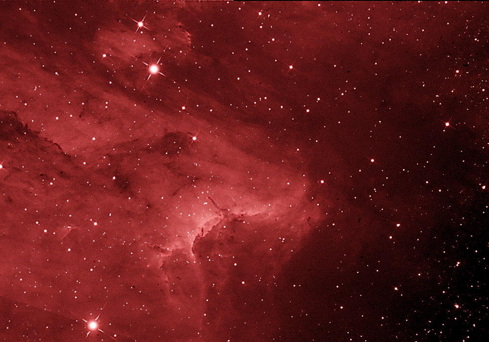 IC 5070, Head of Pelican