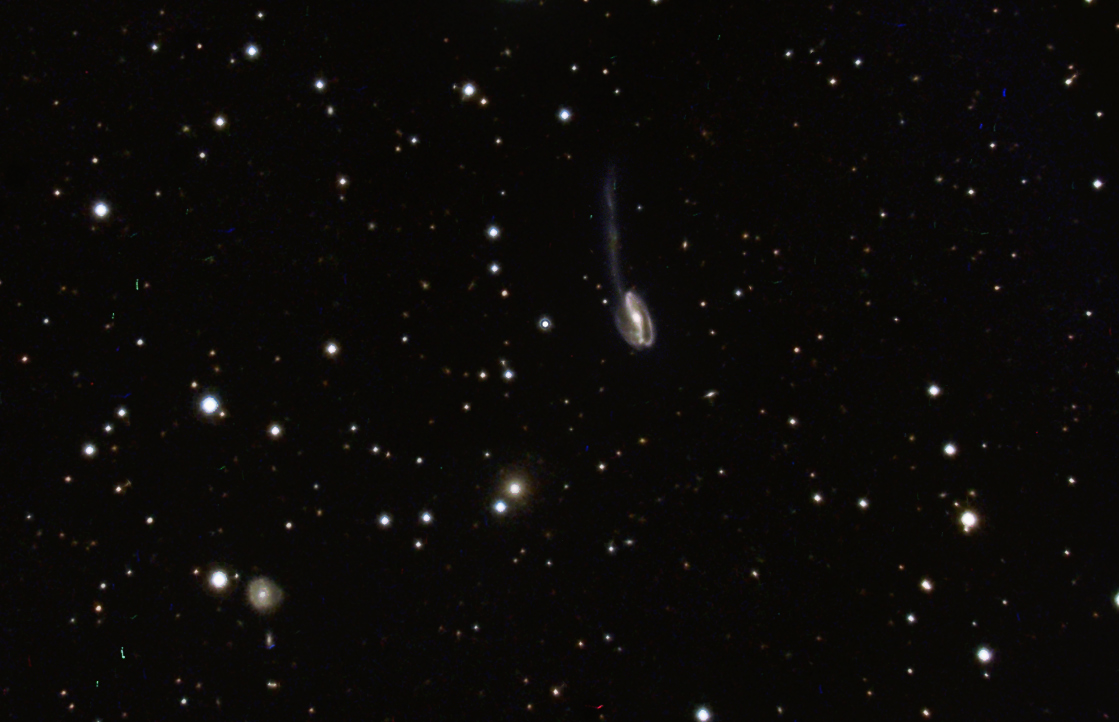 UGC 10214 (Tadpole Galaxy) in Draco