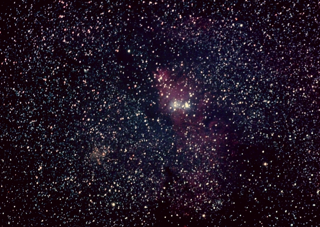 NGC 2264