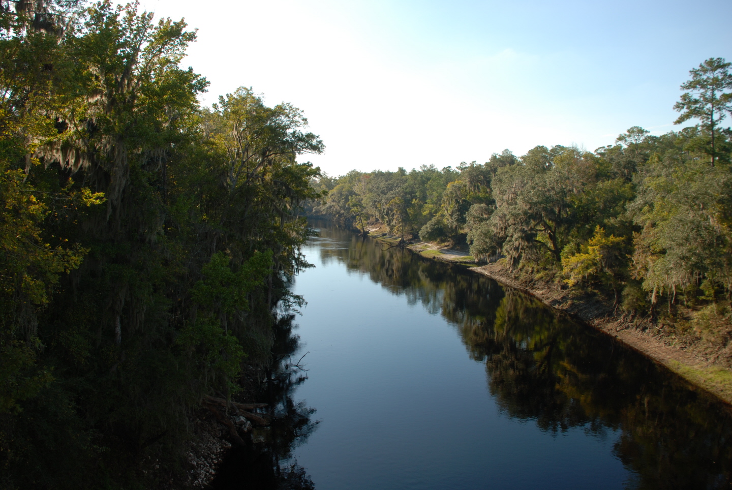 My Back Yard