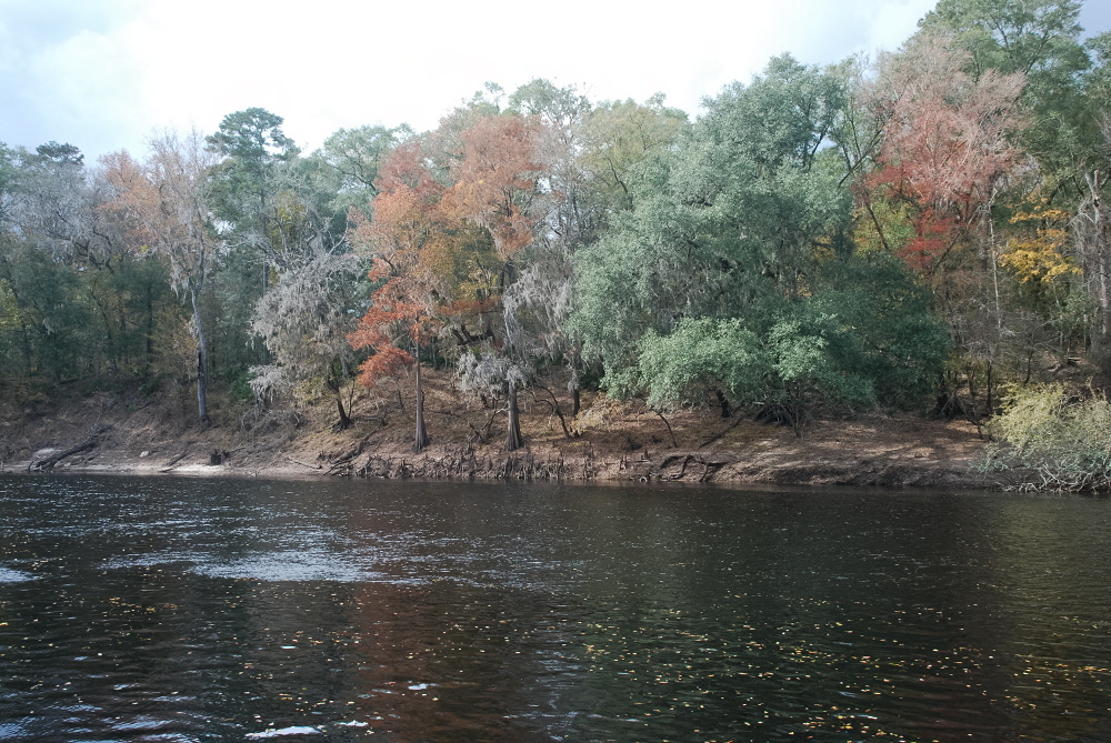Fall on the Suwannee River
