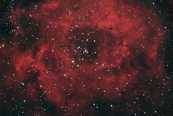 RosetTA DI
