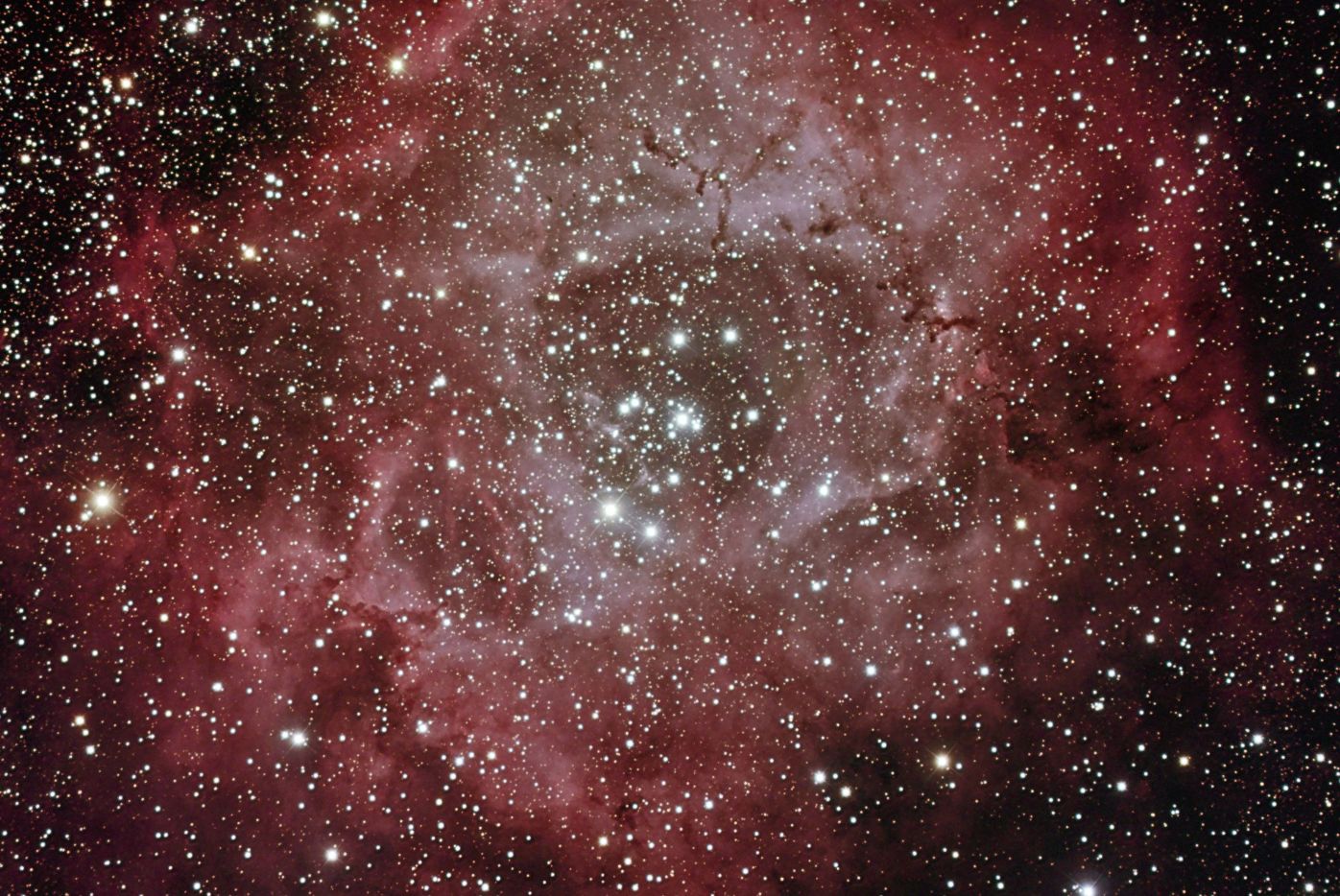 Rosette