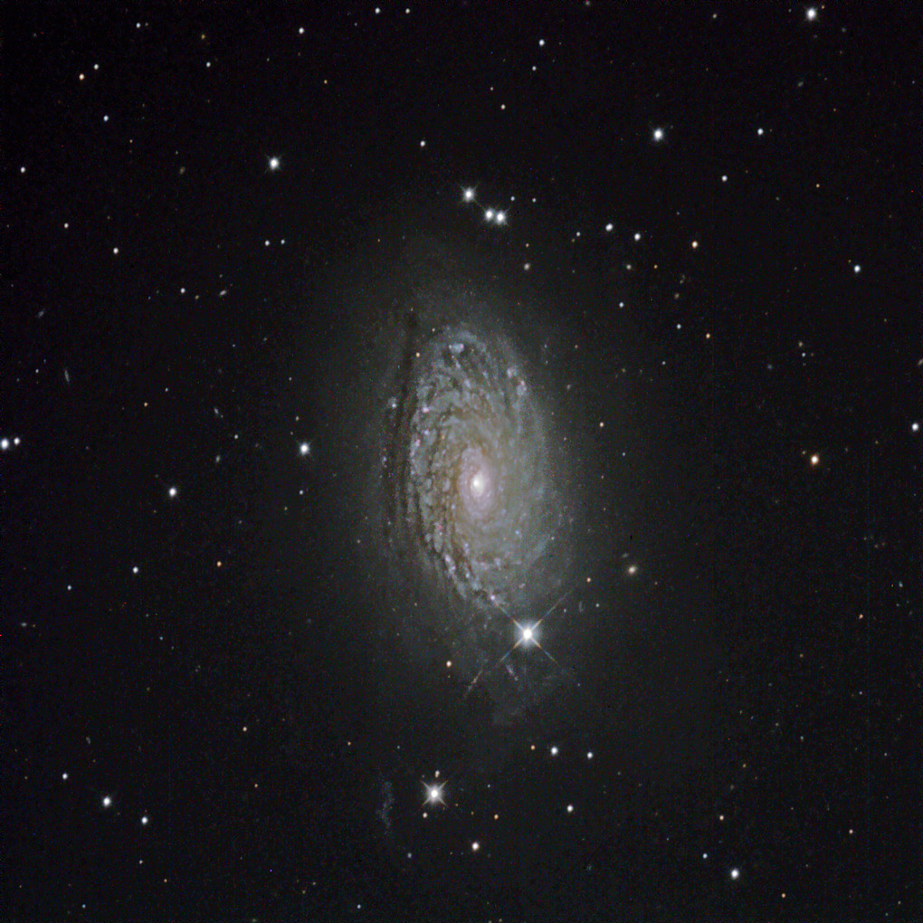 M 63
