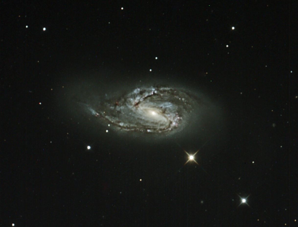 M66