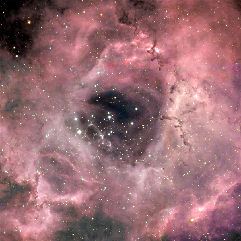 Rosette Mosaic