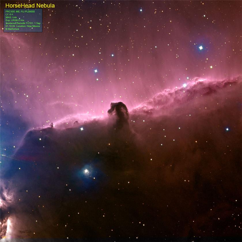 Horsehead