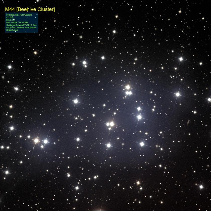 Beehive Cluster