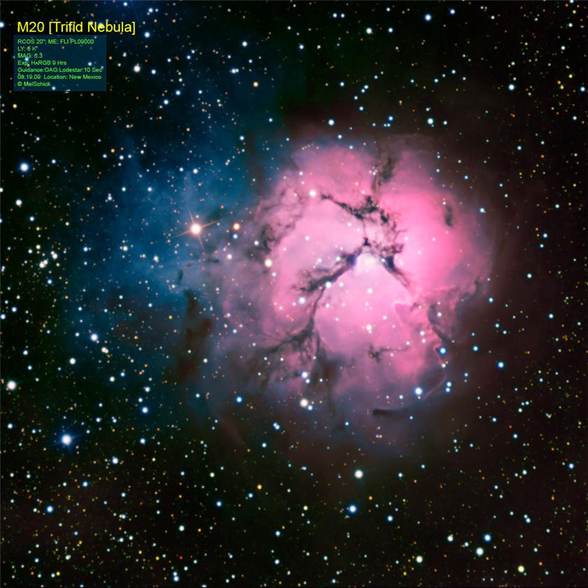 Trifid