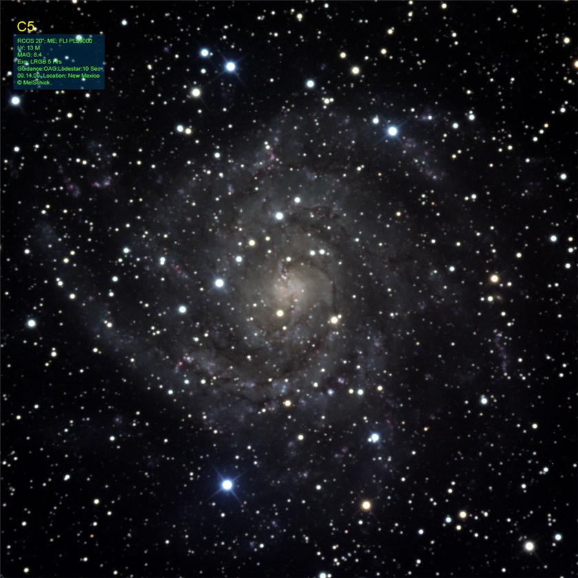 IC 342 [Caldwell 5]