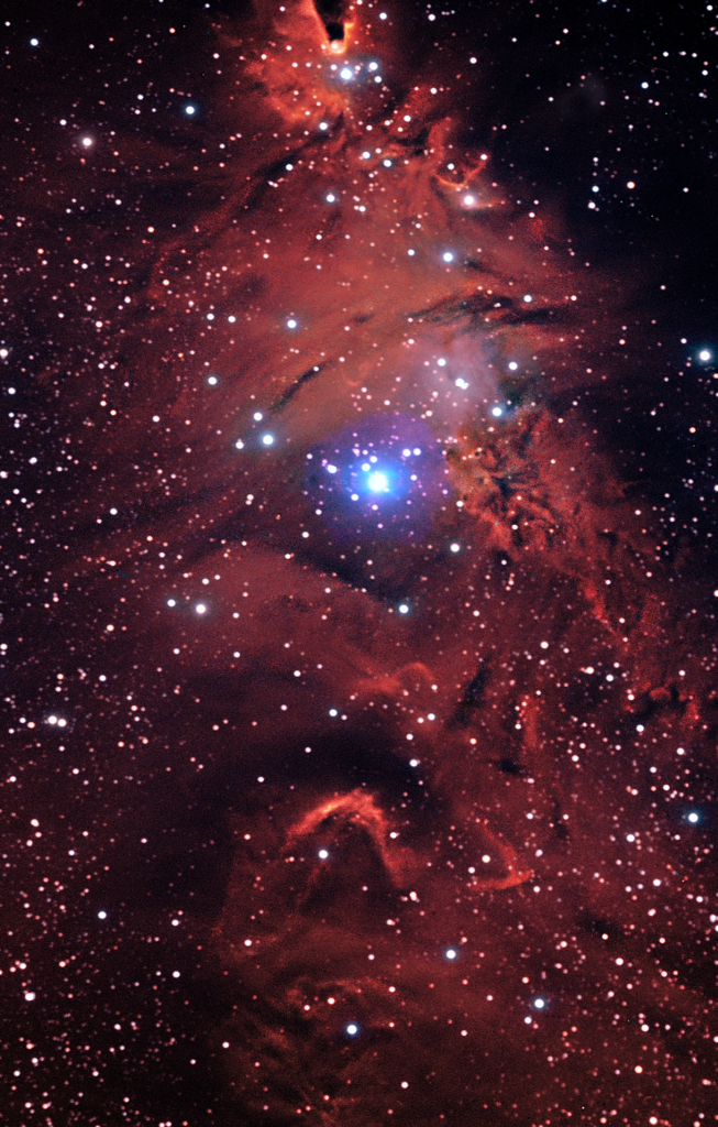 Christmas Tree Cluster