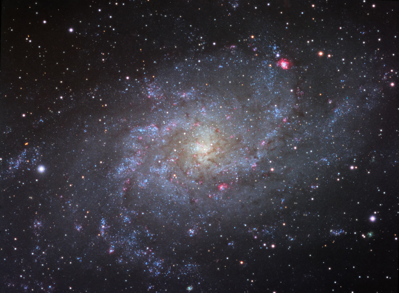 M33