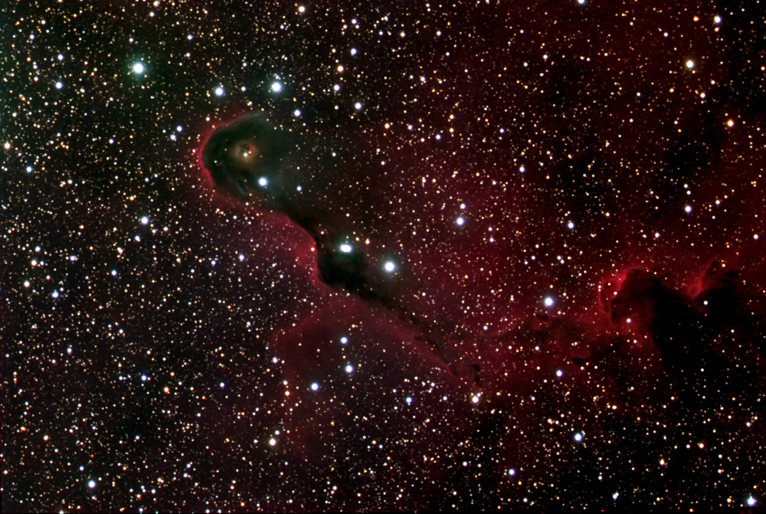 IC1396 (Elephant Trunk)
