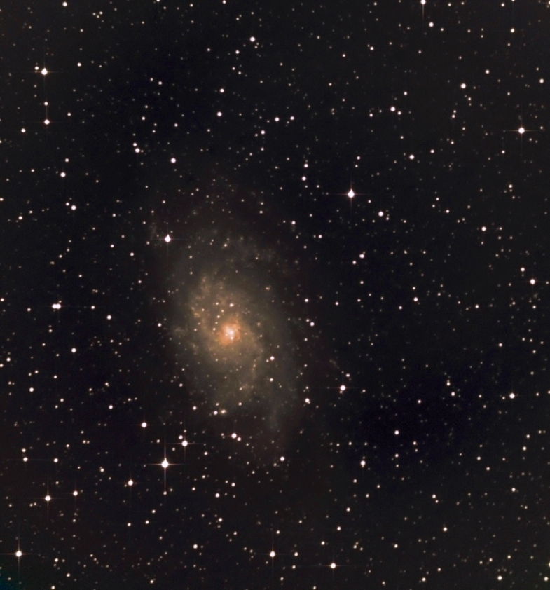 M 33