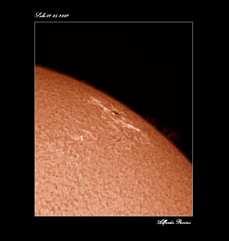 Sole