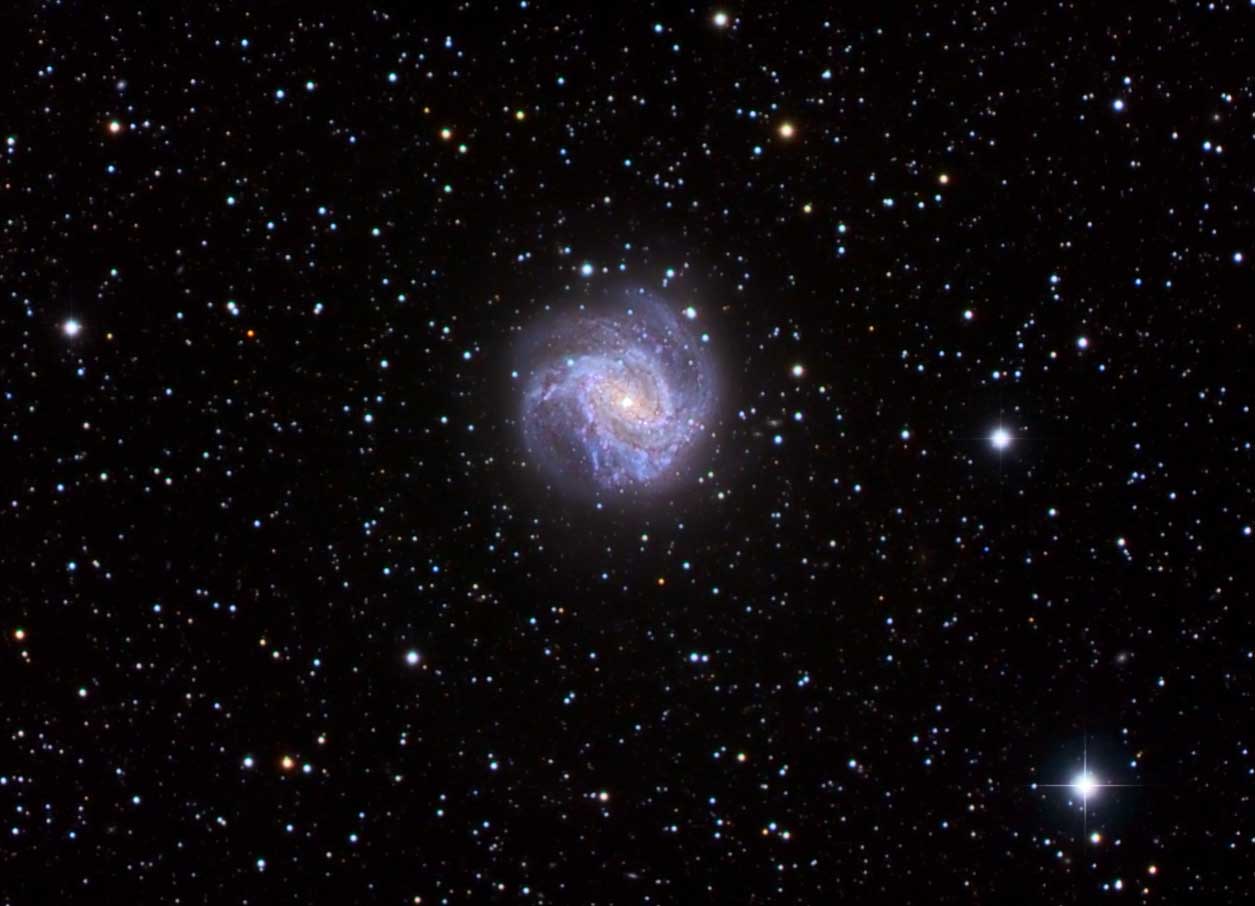 Southern Pinwheel