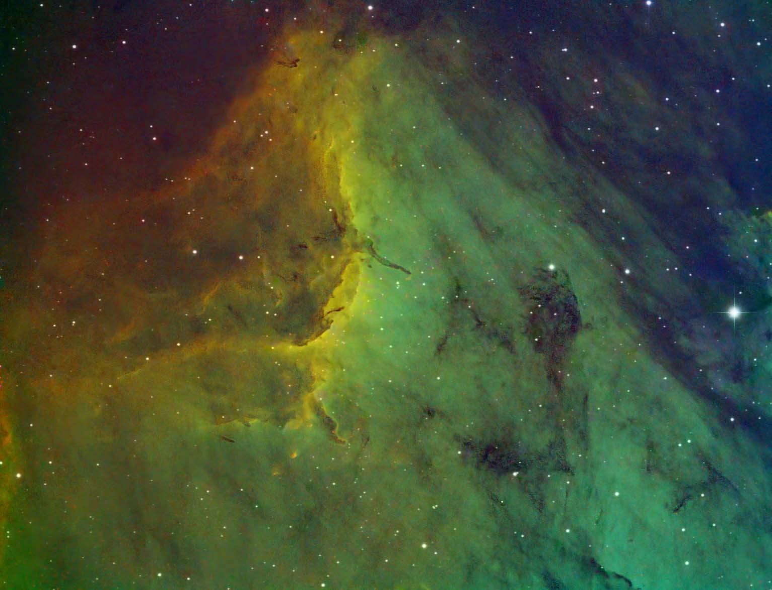 Pelican in Narrowband