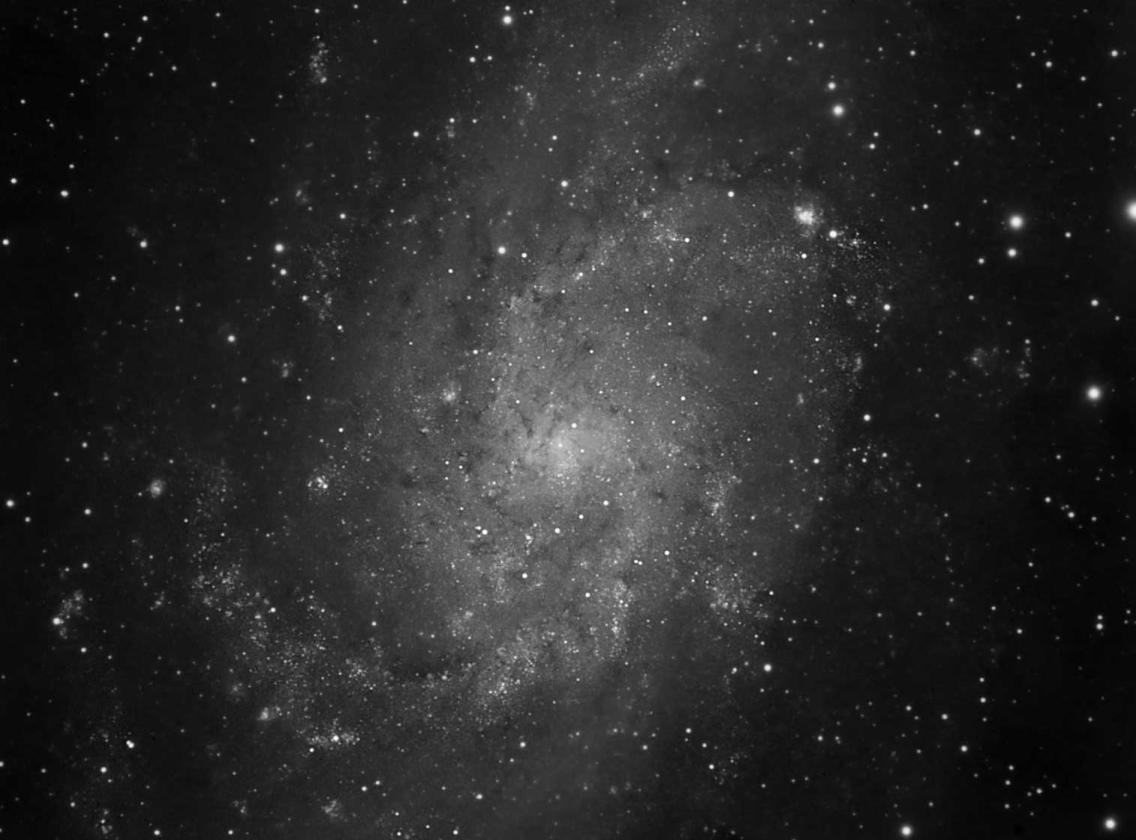 M33 in Lumiance