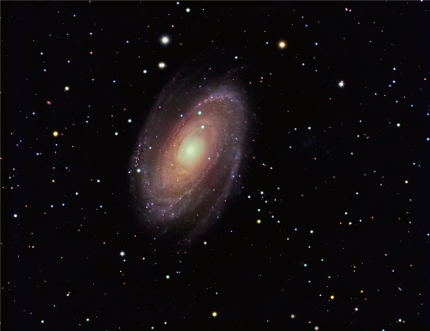 M81