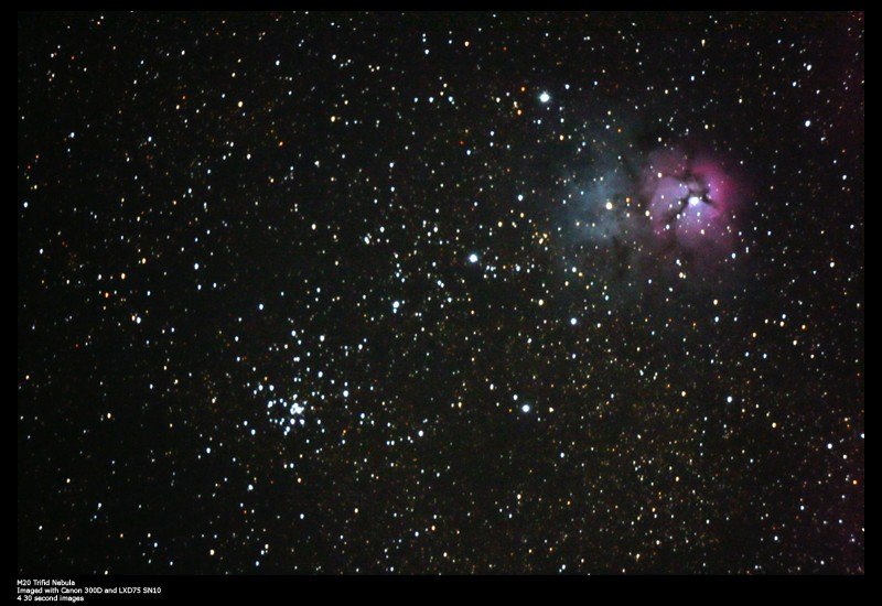 Trifid on a Whim