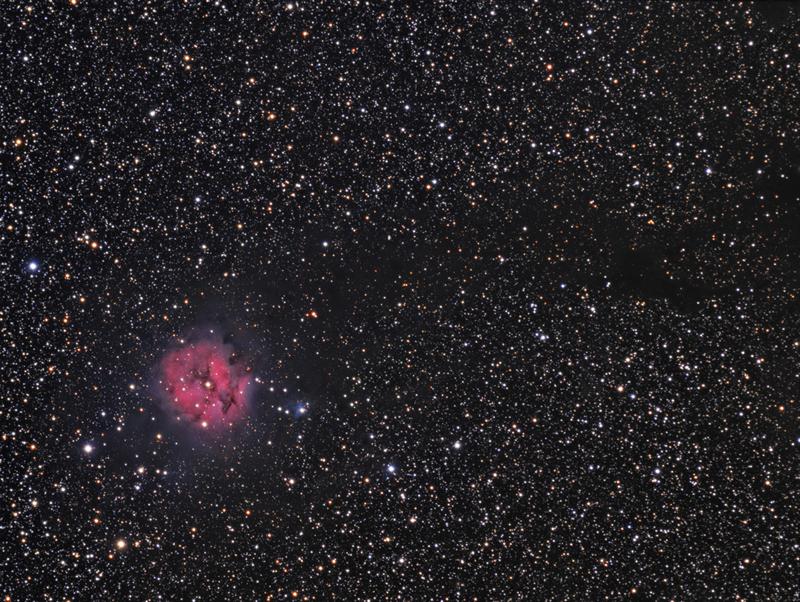 Cocoon Nebula