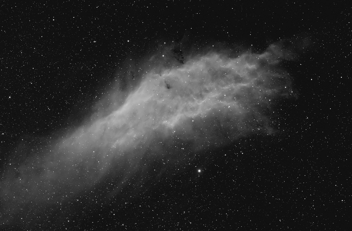 California Nebula
