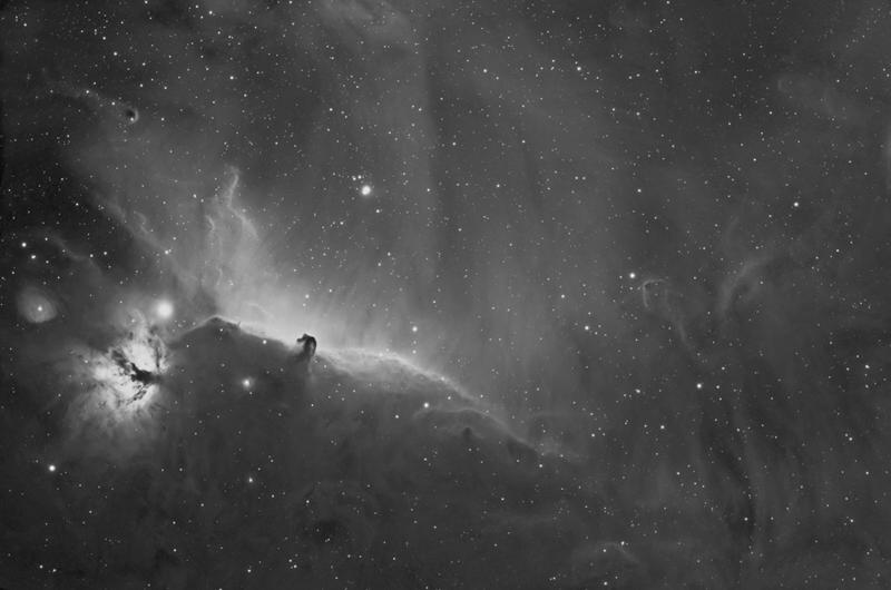 Horsehead