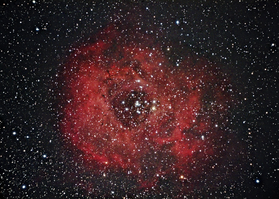 The Rosette