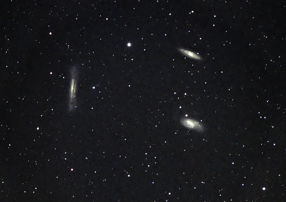 Leo Trio
