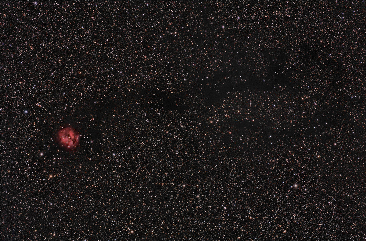 Cocoon Nebula