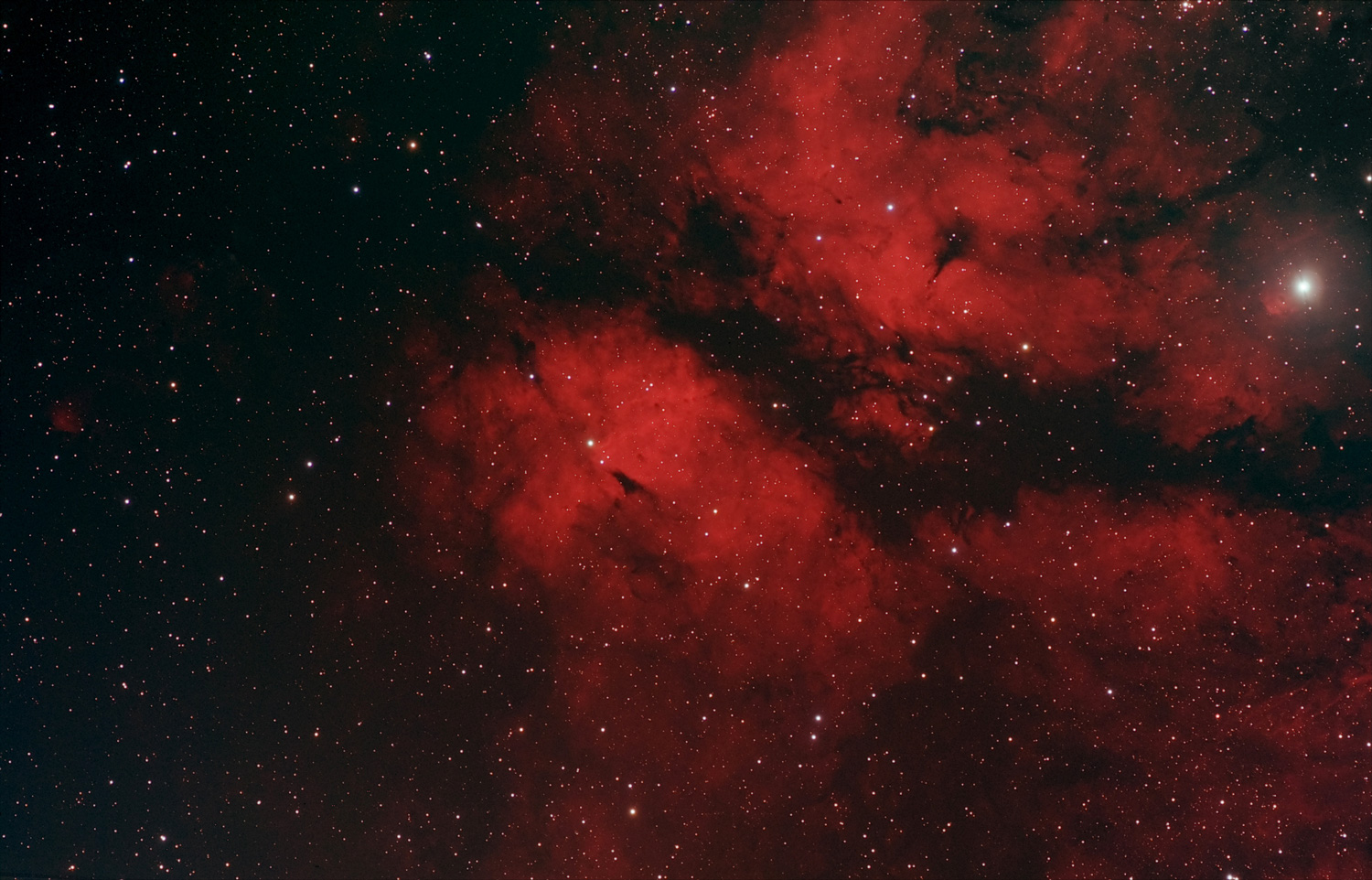 Gamma Cygni Nebula